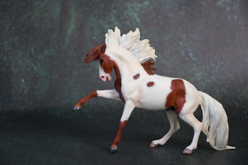 Custom painted wia - custom,