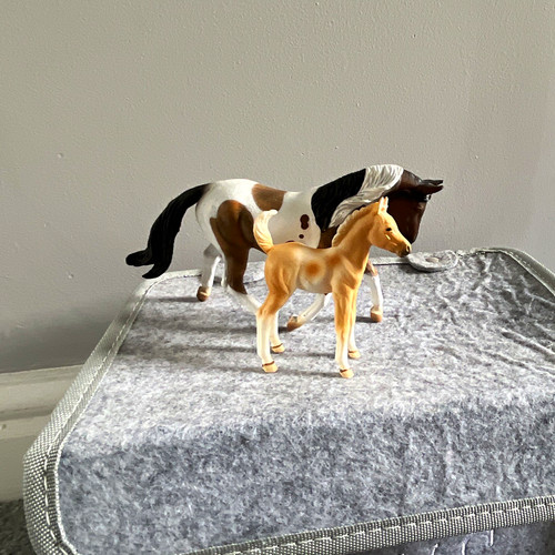 Collecta pinto mare and - , foal