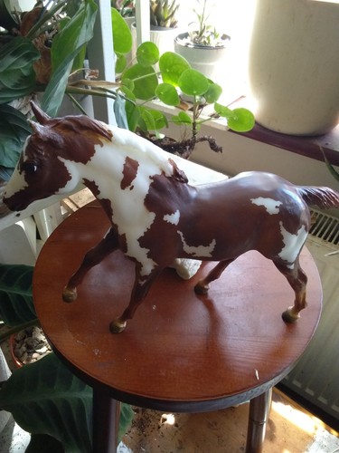 Pinto stallion with brown - stallion,