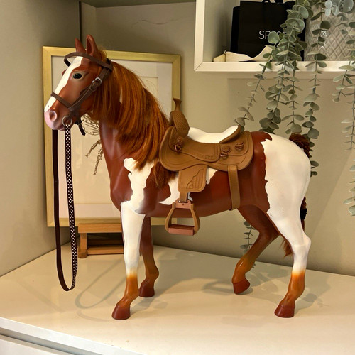 Brown white pinto horse - brown,