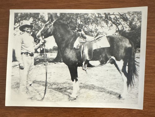 Vintage cowboy pinto - vintage,