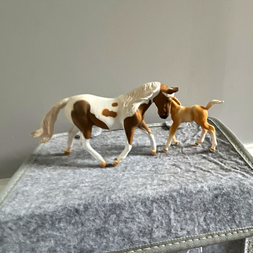 Pinto mare and foal - , bundle