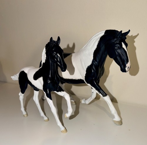 Black white pinto - pinto, horse