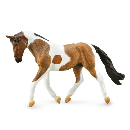 Collecta pinto mare bay - mare, horse