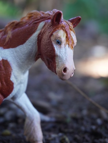 Schleich custom horse - schleich,